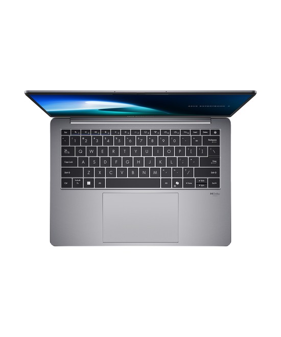 ASUS ExpertBook P5405CSA-NZ0039X (Sans Chargeur) 90NX0861-M01TE0