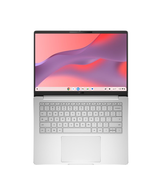 ASUS Chromebook CM1406CM4A-LY0135 (Sans Chargeur) 90CB0A41-M005J0