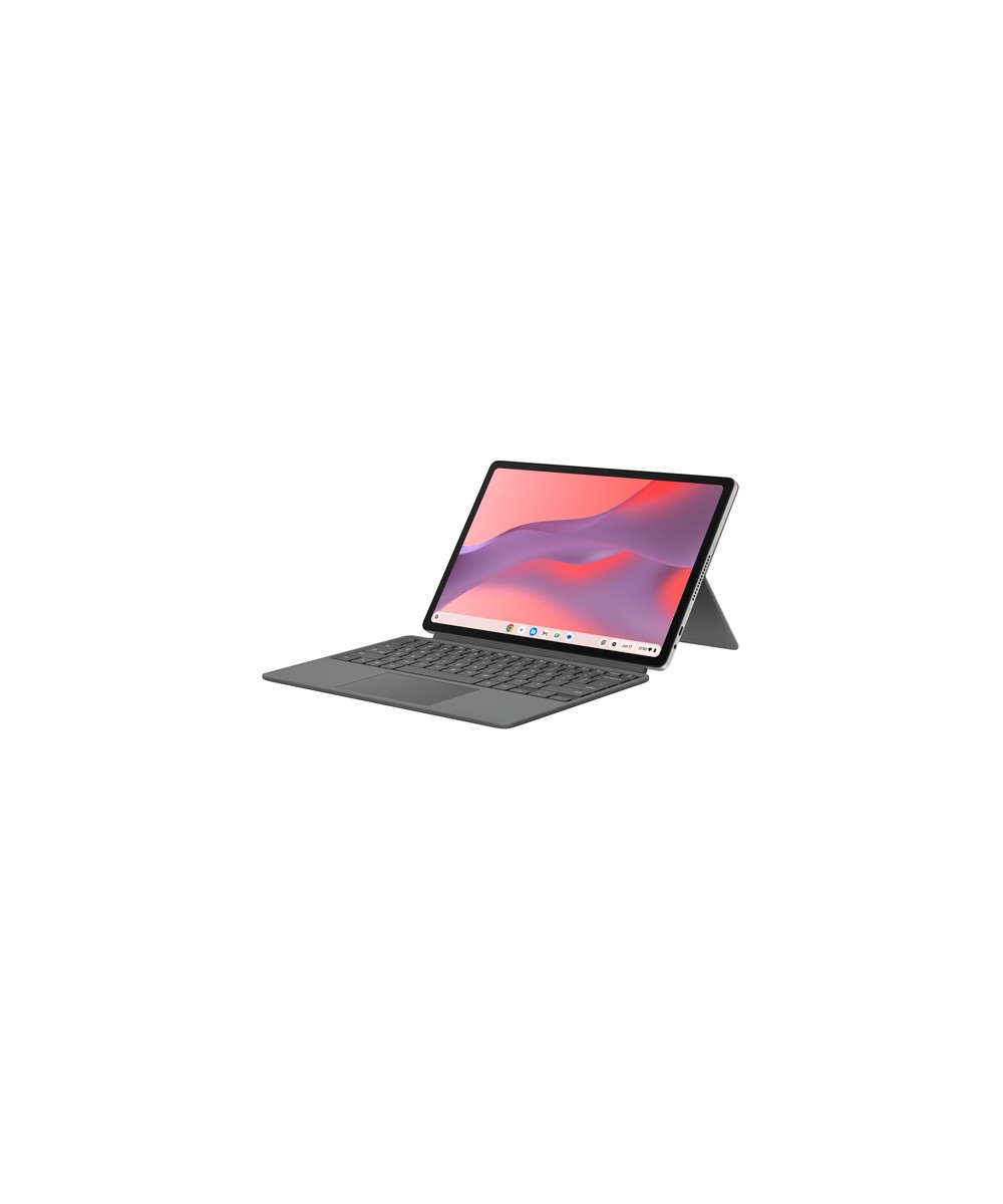 ASUS Chromebook CM3206DM4A-TR0201 (Sans Chargeur) 90CB0A81-M00740