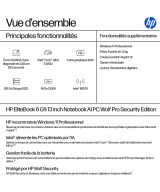 HP EliteBook 6 G1i Wolf Pro Security Edition AD4F2ET#ABF