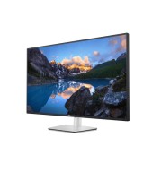 Dell UltraSharp U4323QE DELL-U4323QE