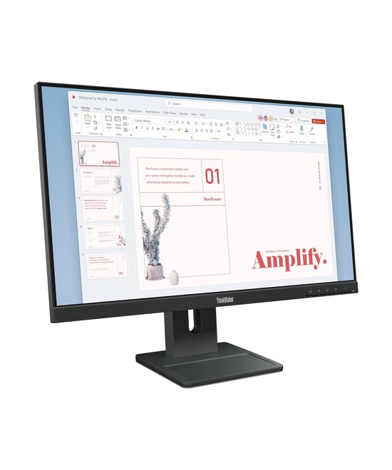 Lenovo ThinkVision E24-40 Moniteur 64BAMAT1EU