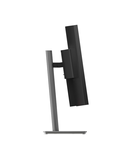 Lenovo ThinkVision P40WD-40 Moniteur 64B4XAT1EU