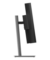 Lenovo ThinkVision P40WD-40 Moniteur 64B4XAT1EU