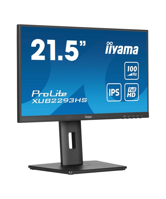 iiyama ProLite XUB2293HS-B6