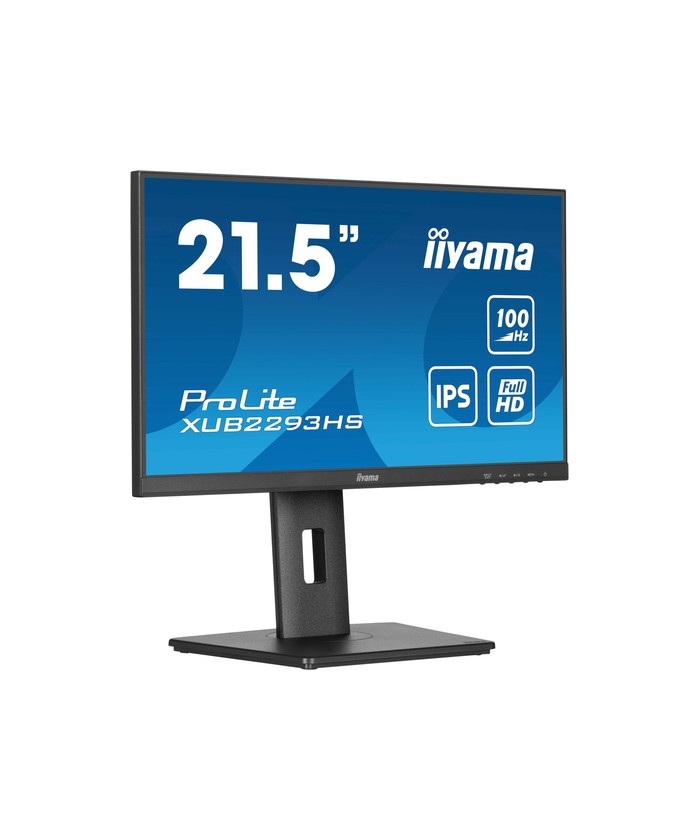 iiyama ProLite XUB2293HS-B6