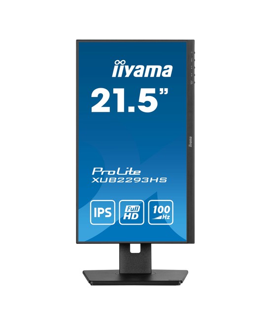 iiyama ProLite XUB2293HS-B6