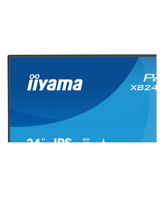 iiyama ProLite XB2496HSC-B1