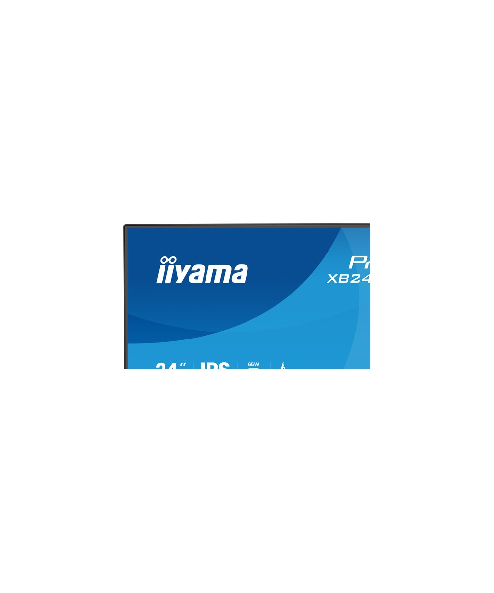 iiyama ProLite XB2496HSC-B1