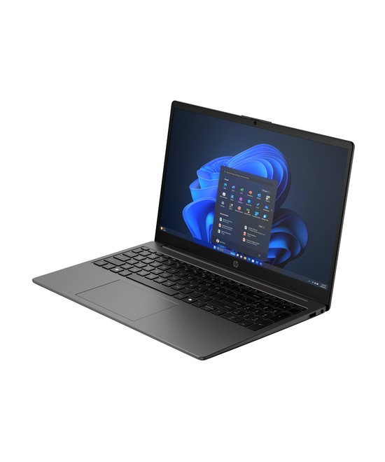 HP 250R G10 D0DQ1AT#ABF