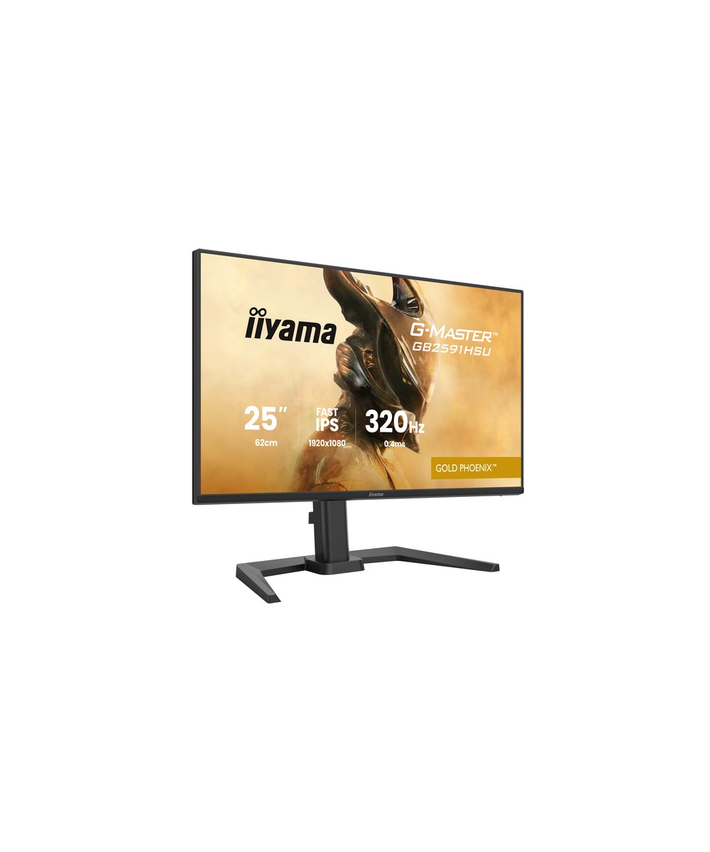 iiyama G-MASTER GB2591HSU-B1