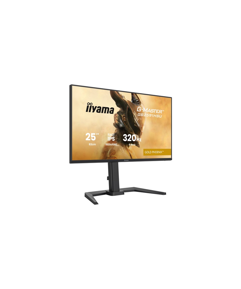 iiyama G-MASTER GB2591HSU-B1