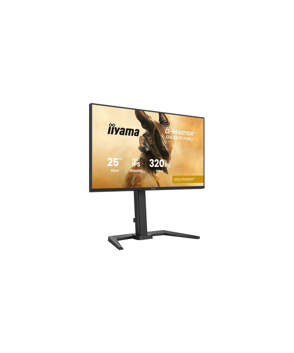 iiyama G-MASTER GB2591HSU-B1