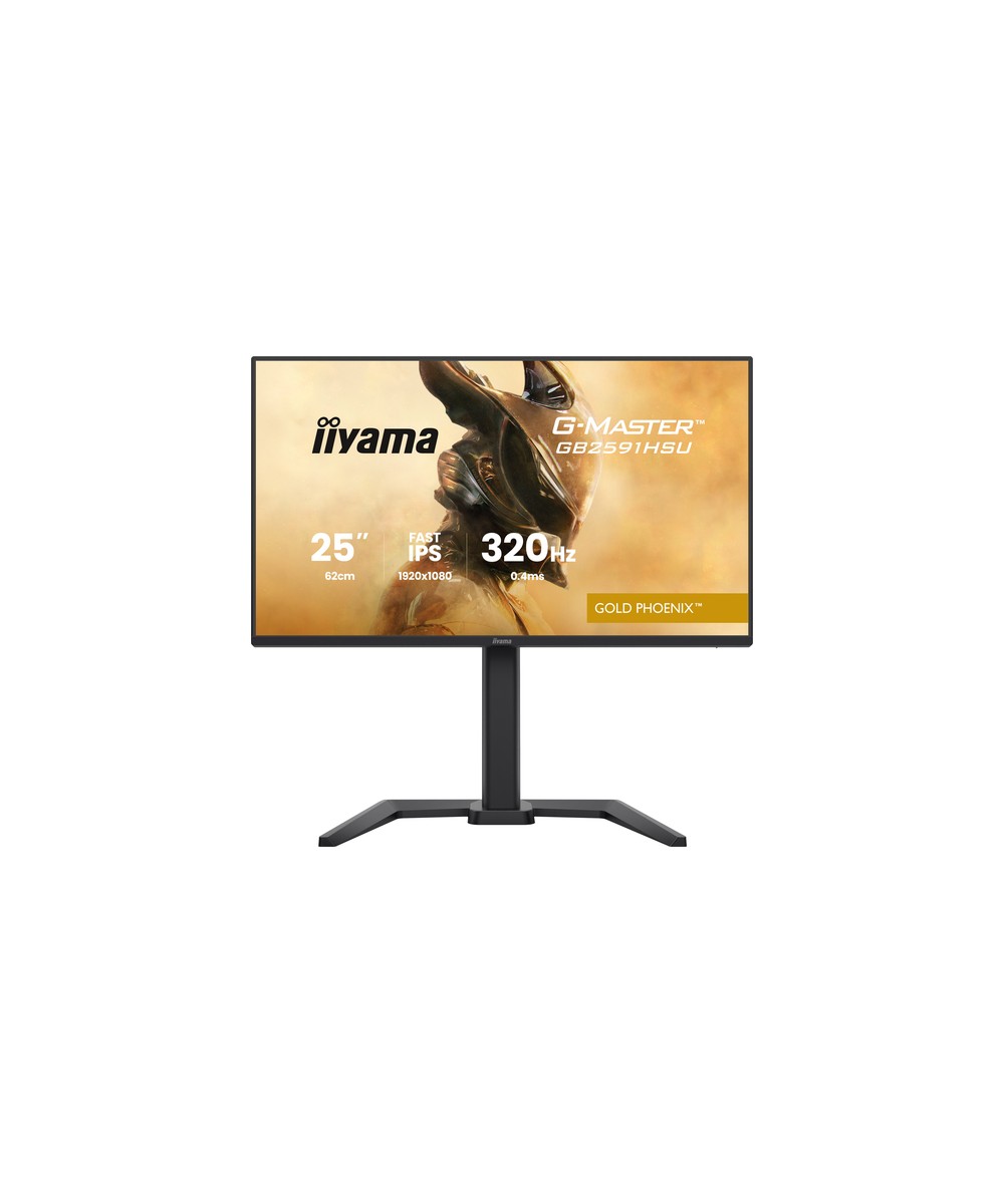 iiyama G-MASTER GB2591HSU-B1
