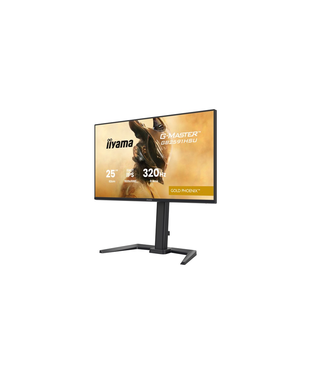 iiyama G-MASTER GB2591HSU-B1