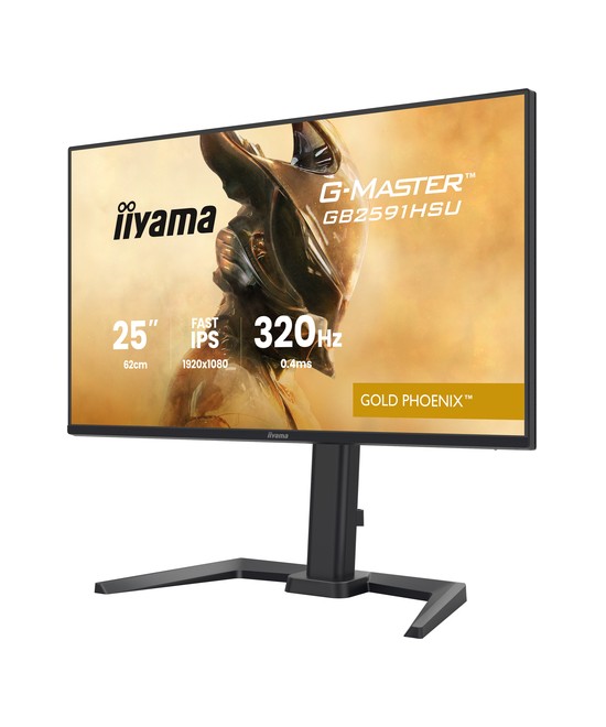 iiyama G-MASTER GB2591HSU-B1
