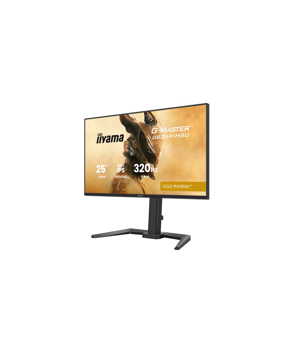 iiyama G-MASTER GB2591HSU-B1