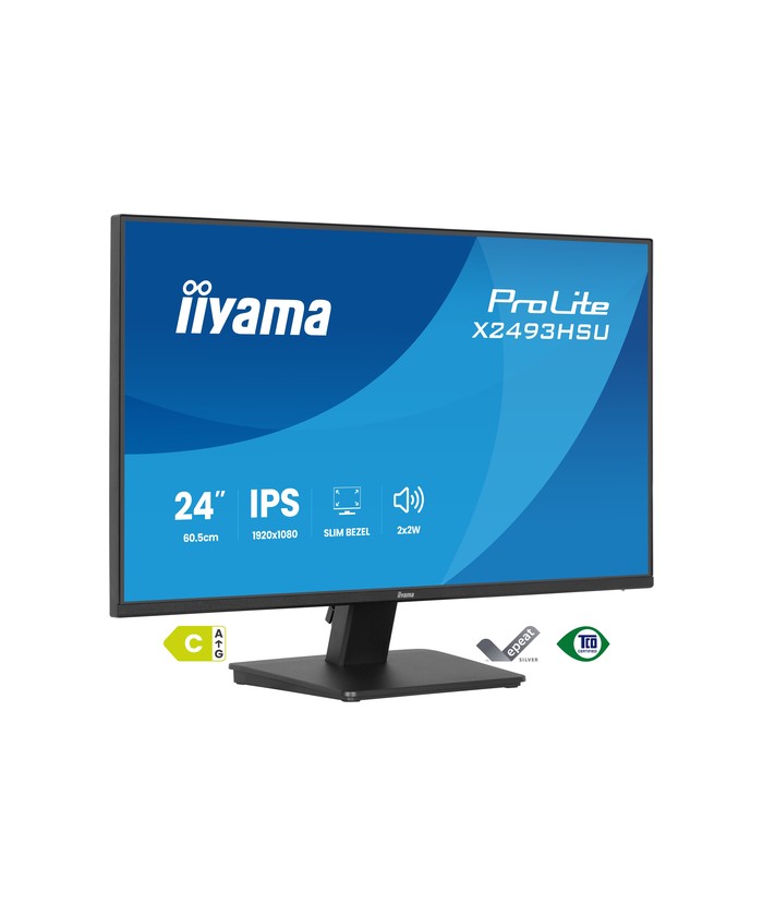iiyama ProLite X2493HSU-B1