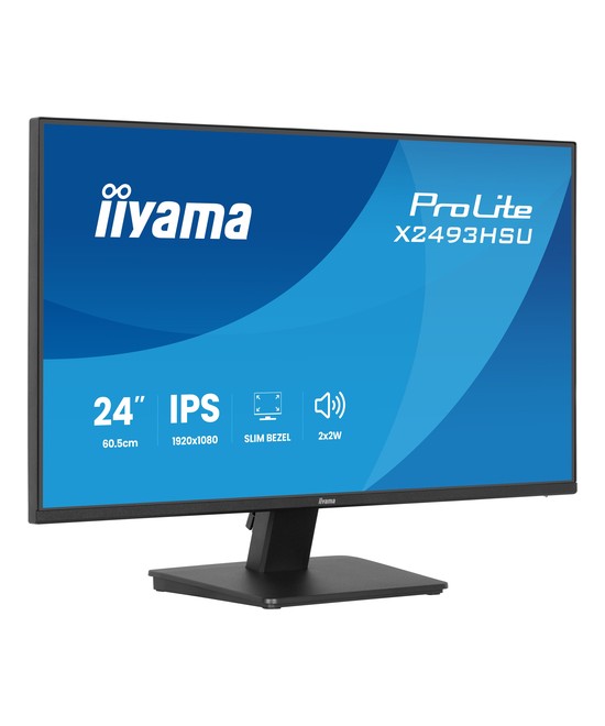 iiyama ProLite X2493HSU-B1