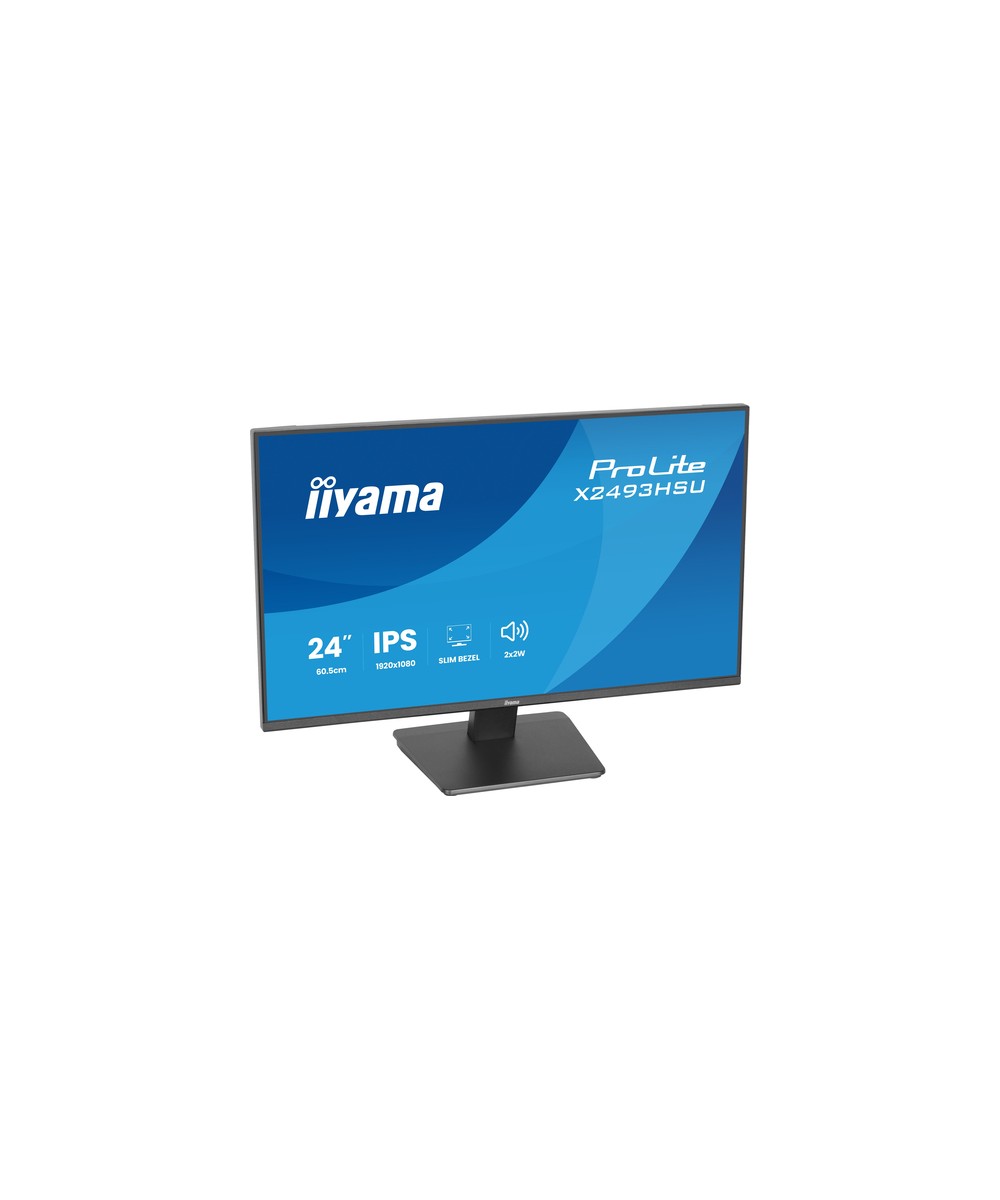 iiyama ProLite X2493HSU-B1