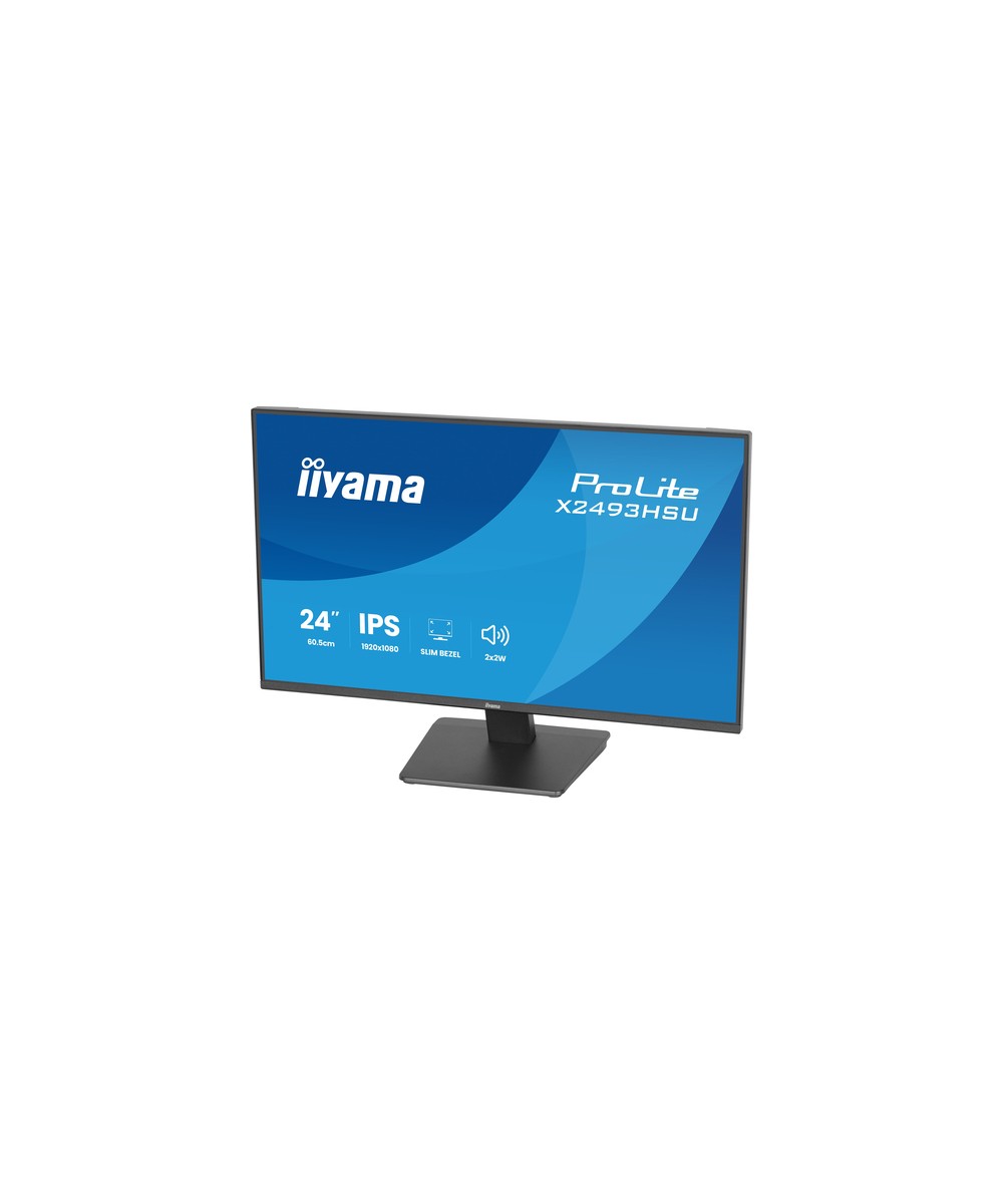 iiyama ProLite X2493HSU-B1
