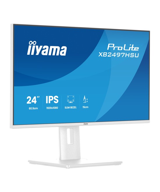 iiyama ProLite XB2497HSU-W1