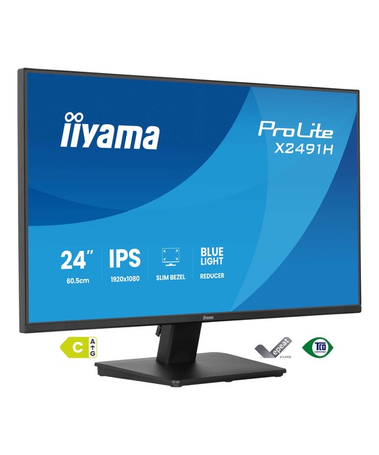 iiyama ProLite X2491H-B1