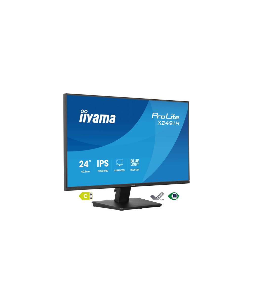 iiyama ProLite X2491H-B1