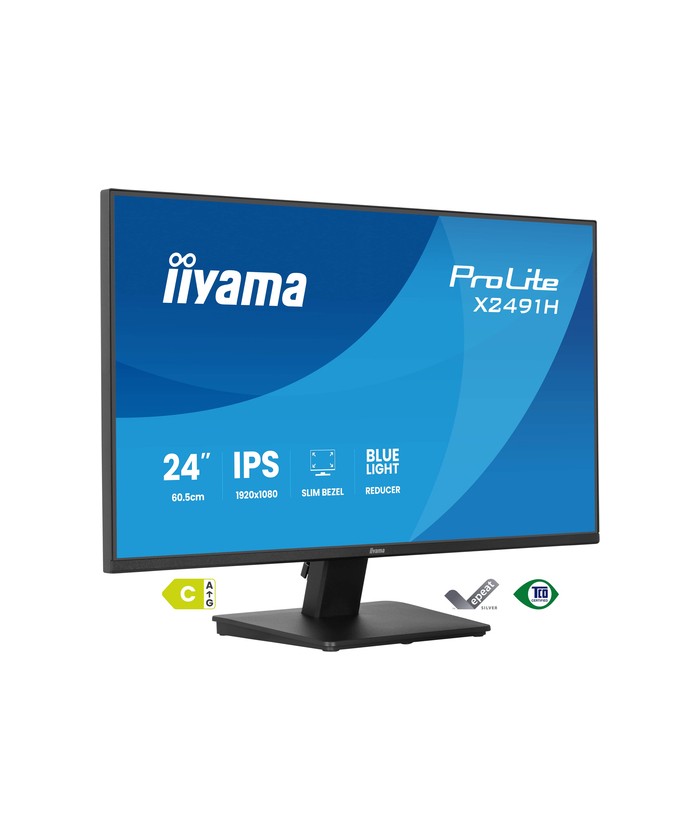 iiyama ProLite X2491H-B1