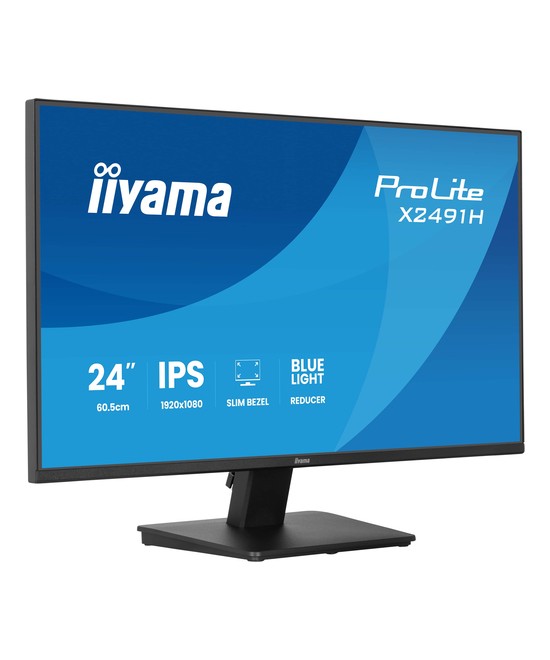 iiyama ProLite X2491H-B1
