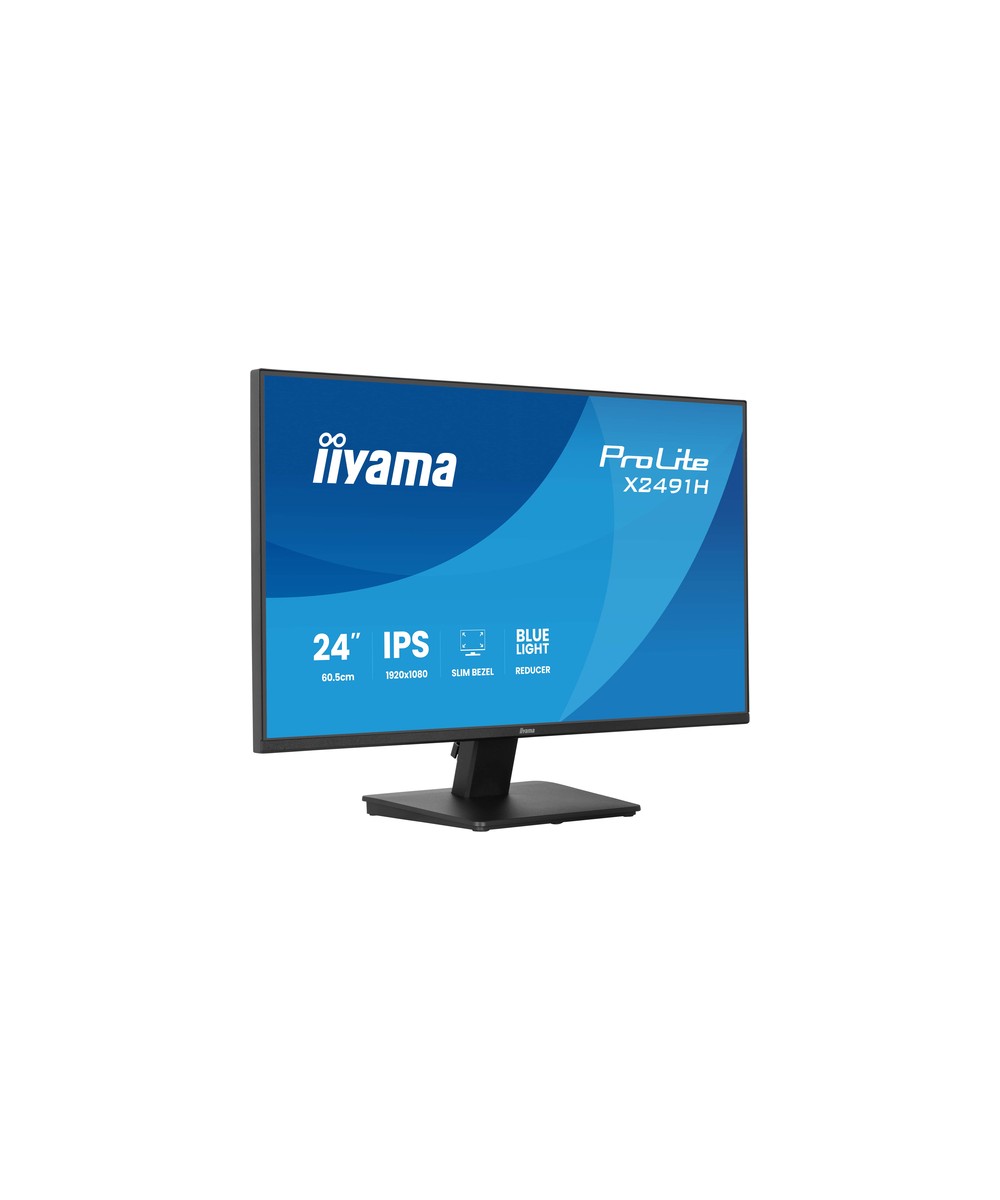 iiyama ProLite X2491H-B1