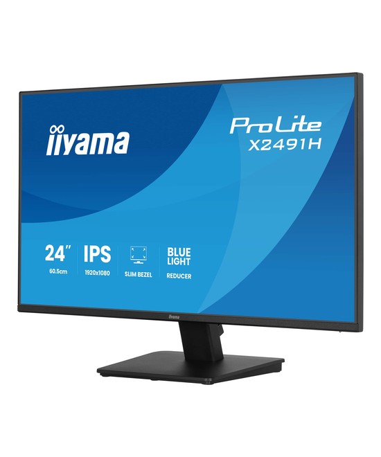 iiyama ProLite X2491H-B1