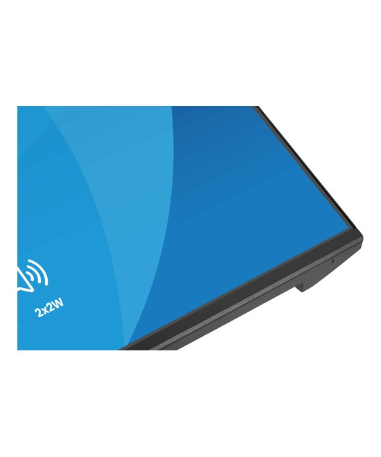 iiyama ProLite X2491HS-B1