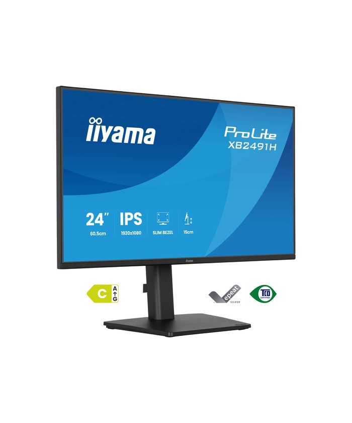 iiyama ProLite XB2491H-B1