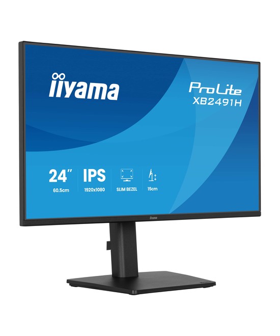 iiyama ProLite XB2491H-B1