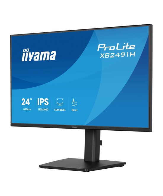 iiyama ProLite XB2491H-B1