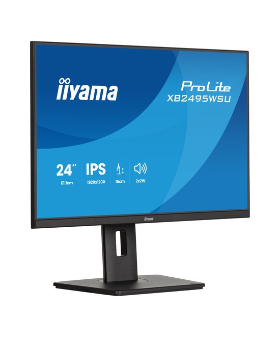iiyama ProLite XB2495WSU-B1