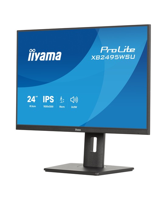 iiyama ProLite XB2495WSU-B1