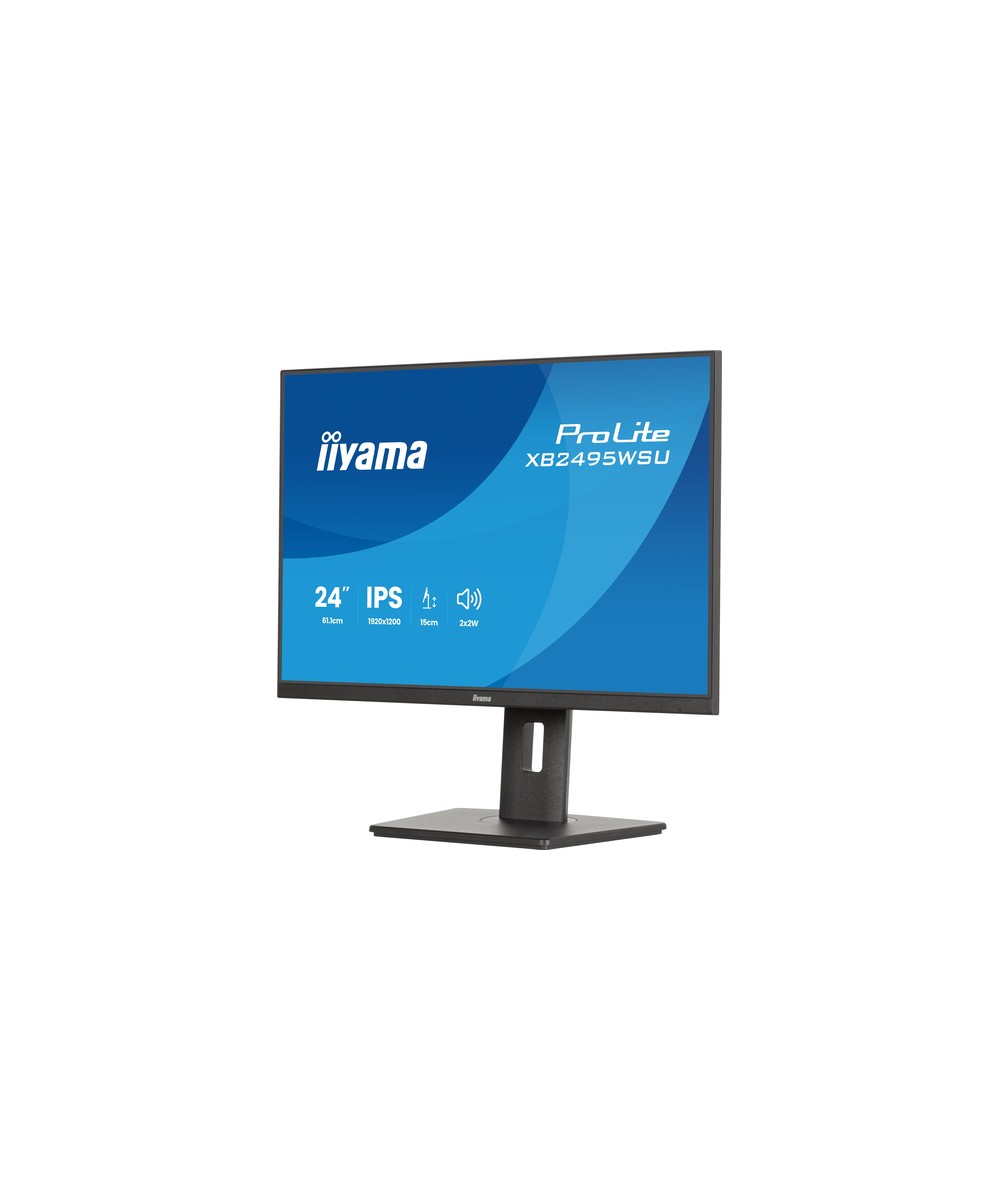 iiyama ProLite XB2495WSU-B1