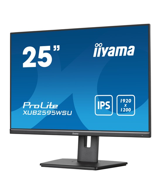 iiyama ProLite XUB2595WSU-B5