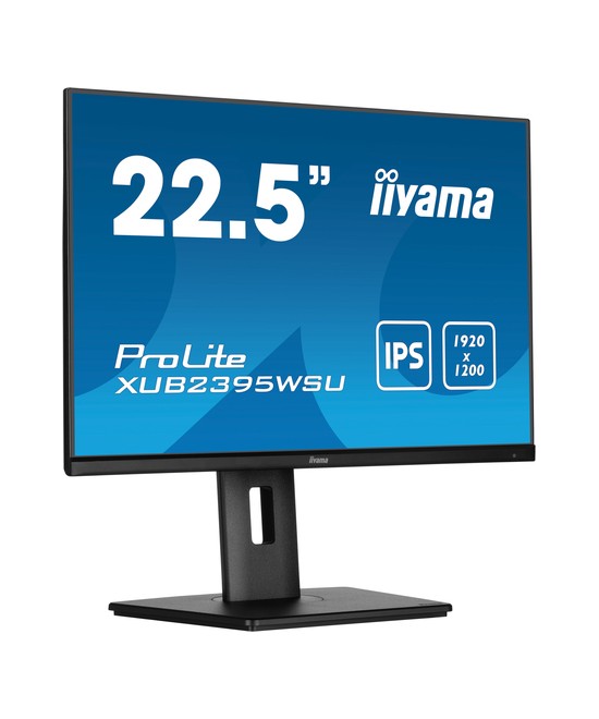 iiyama ProLite XUB2395WSU-B5