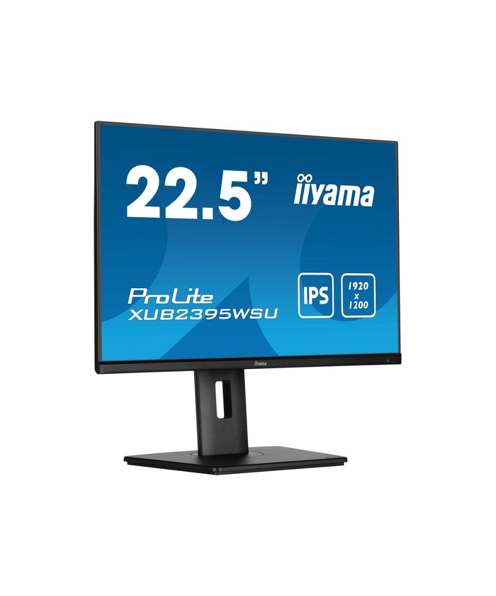 iiyama ProLite XUB2395WSU-B5