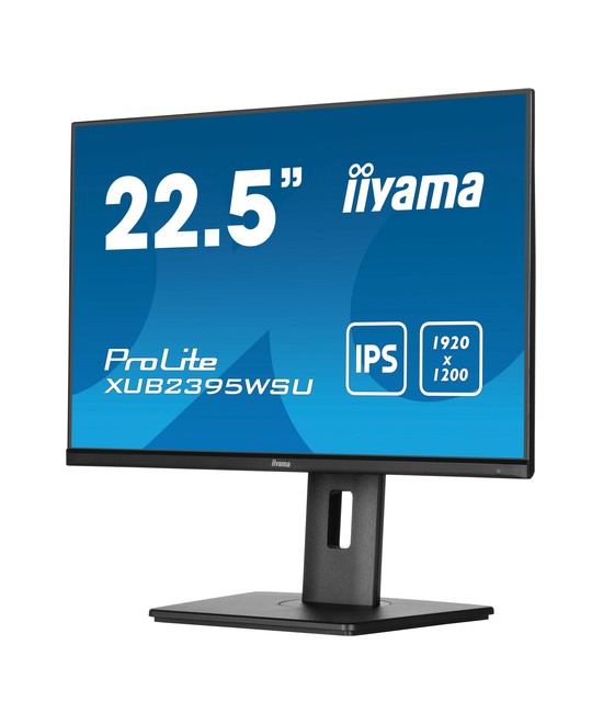 iiyama ProLite XUB2395WSU-B5