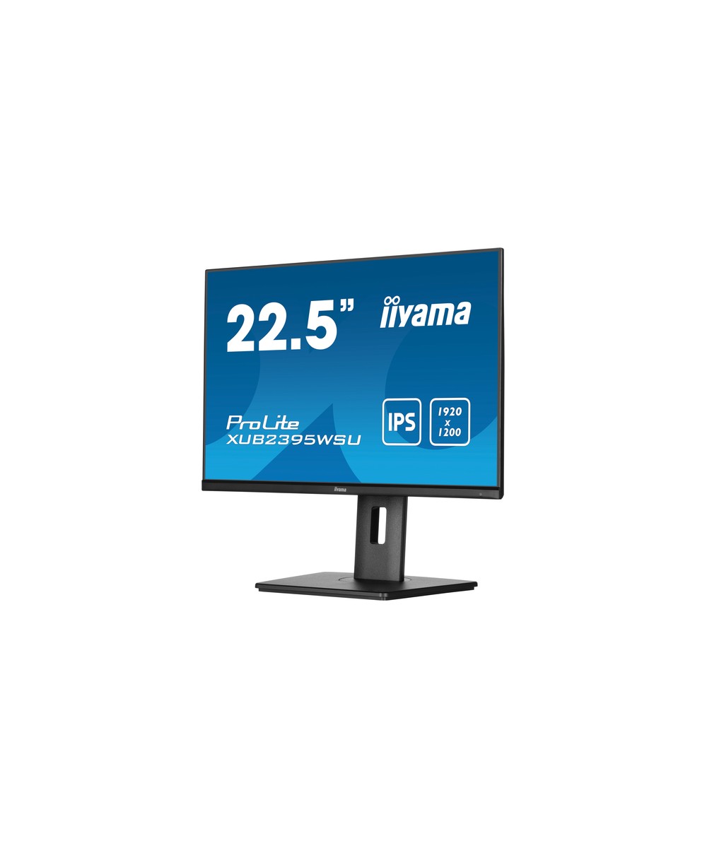 iiyama ProLite XUB2395WSU-B5