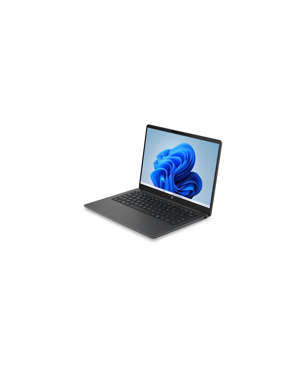 HP PC portable Intel Core 5 315 / jusqu'à 4.4 GHz E0AS1EA#ABF
